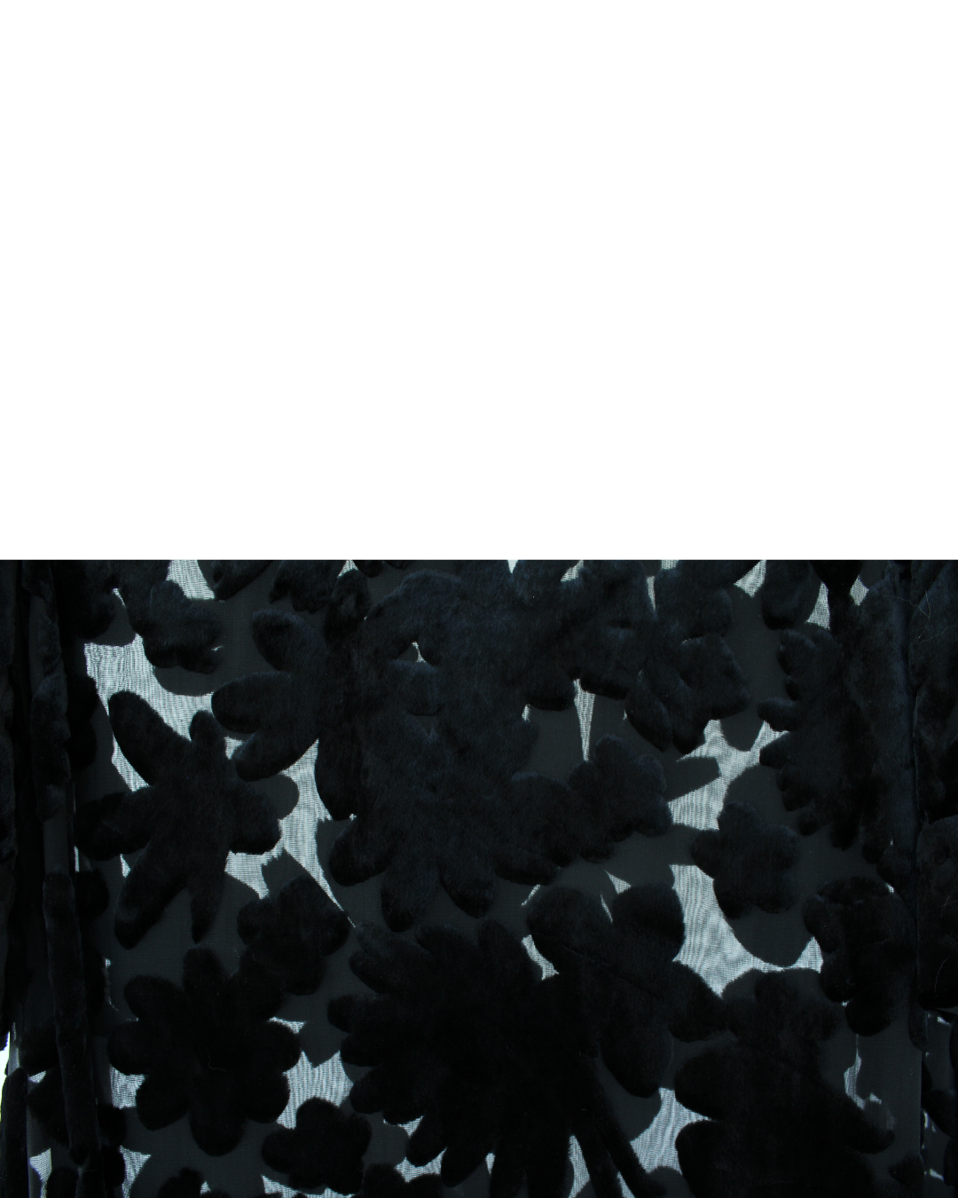 Alexander McQueen Vestido Sheer con Aplicación Floral en Terciopelo - Imagen 3